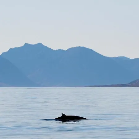 Lofoten Cruise & Hotel na wodzie